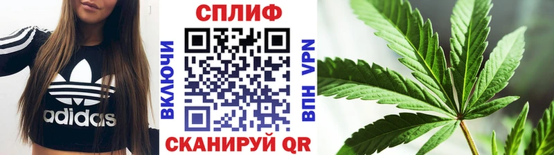 Хочу наркоту Венёв МАРИХУАНА  A-PVP  АМФ  Псилоцибиновые грибы  ГАШ  Мефедрон 