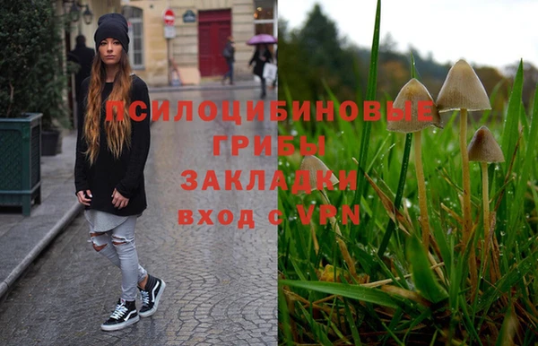 гашик Абдулино