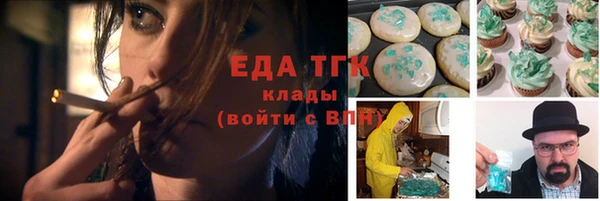 тгк Абаза